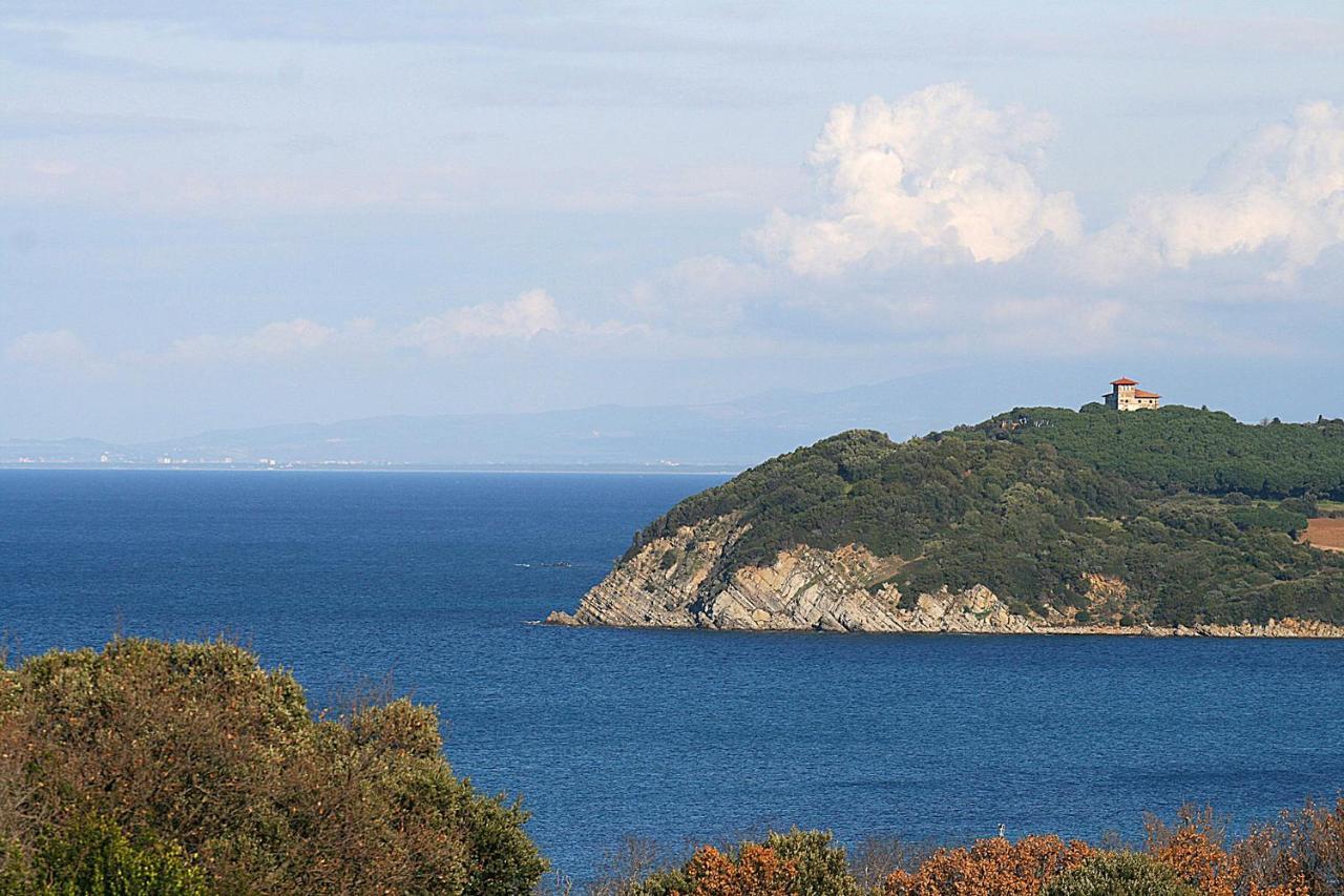 Terravita Winery & Boutique Apartments Suvereto Dış mekan fotoğraf