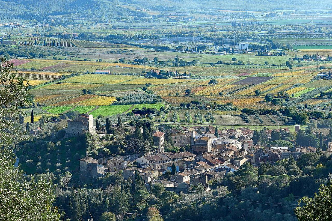 Terravita Winery & Boutique Apartments Suvereto Dış mekan fotoğraf