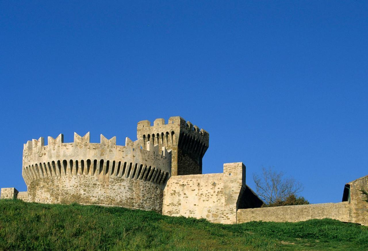 Terravita Winery & Boutique Apartments Suvereto Dış mekan fotoğraf