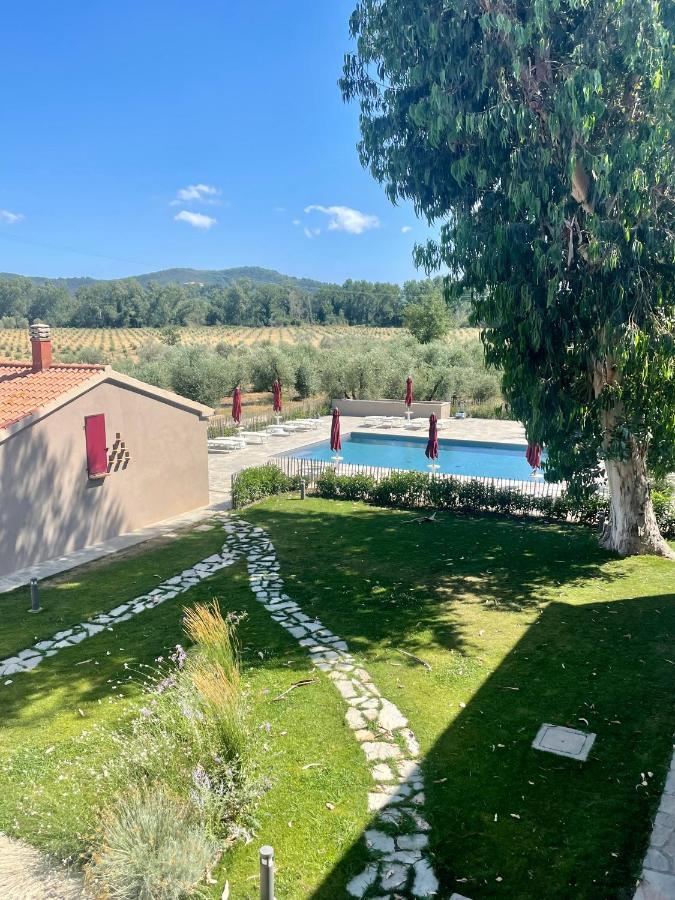 Terravita Winery & Boutique Apartments Suvereto Dış mekan fotoğraf