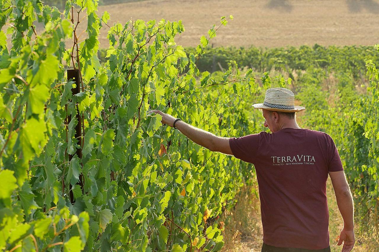 Terravita Winery & Boutique Apartments Suvereto Dış mekan fotoğraf