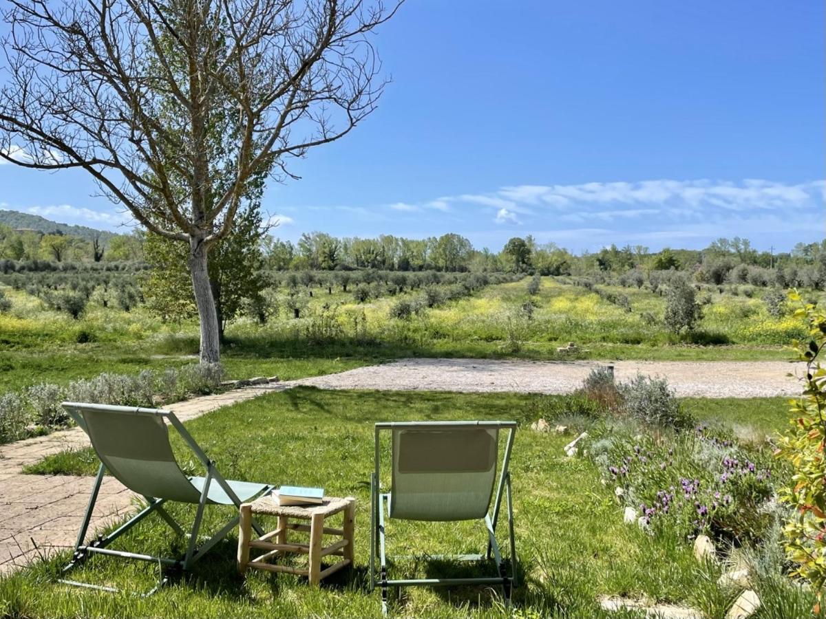 Terravita Winery & Boutique Apartments Suvereto Dış mekan fotoğraf
