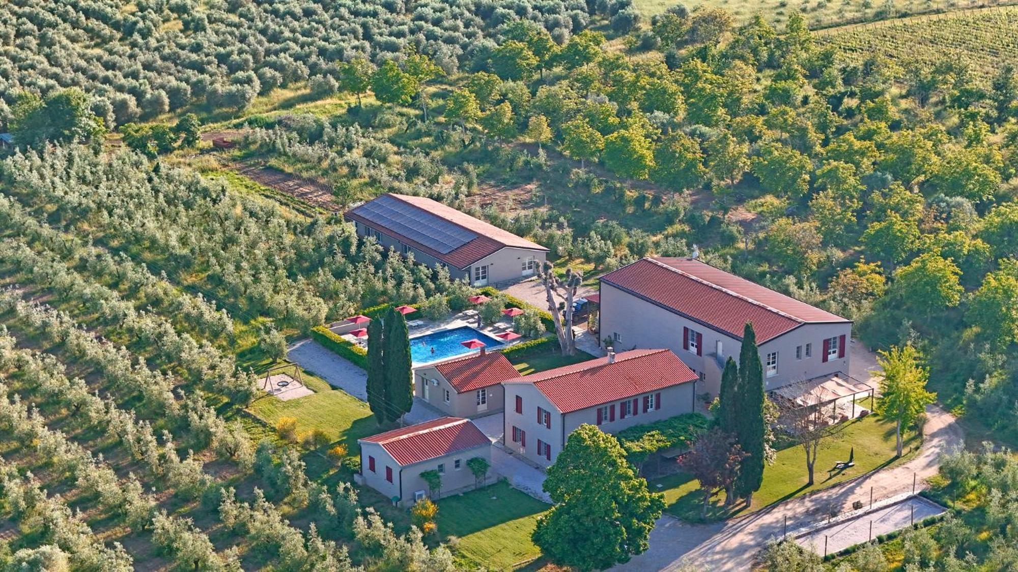 Terravita Winery & Boutique Apartments Suvereto Dış mekan fotoğraf