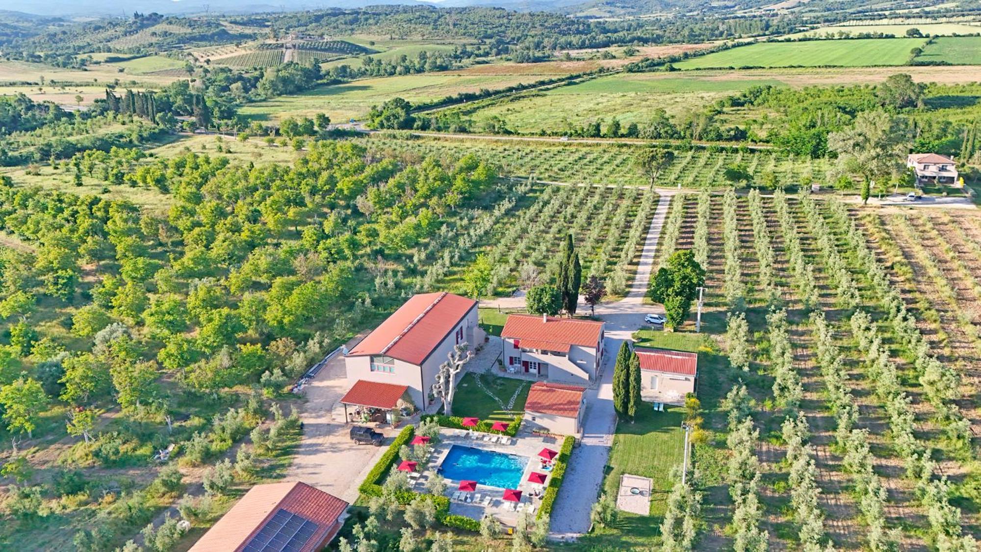 Terravita Winery & Boutique Apartments Suvereto Dış mekan fotoğraf