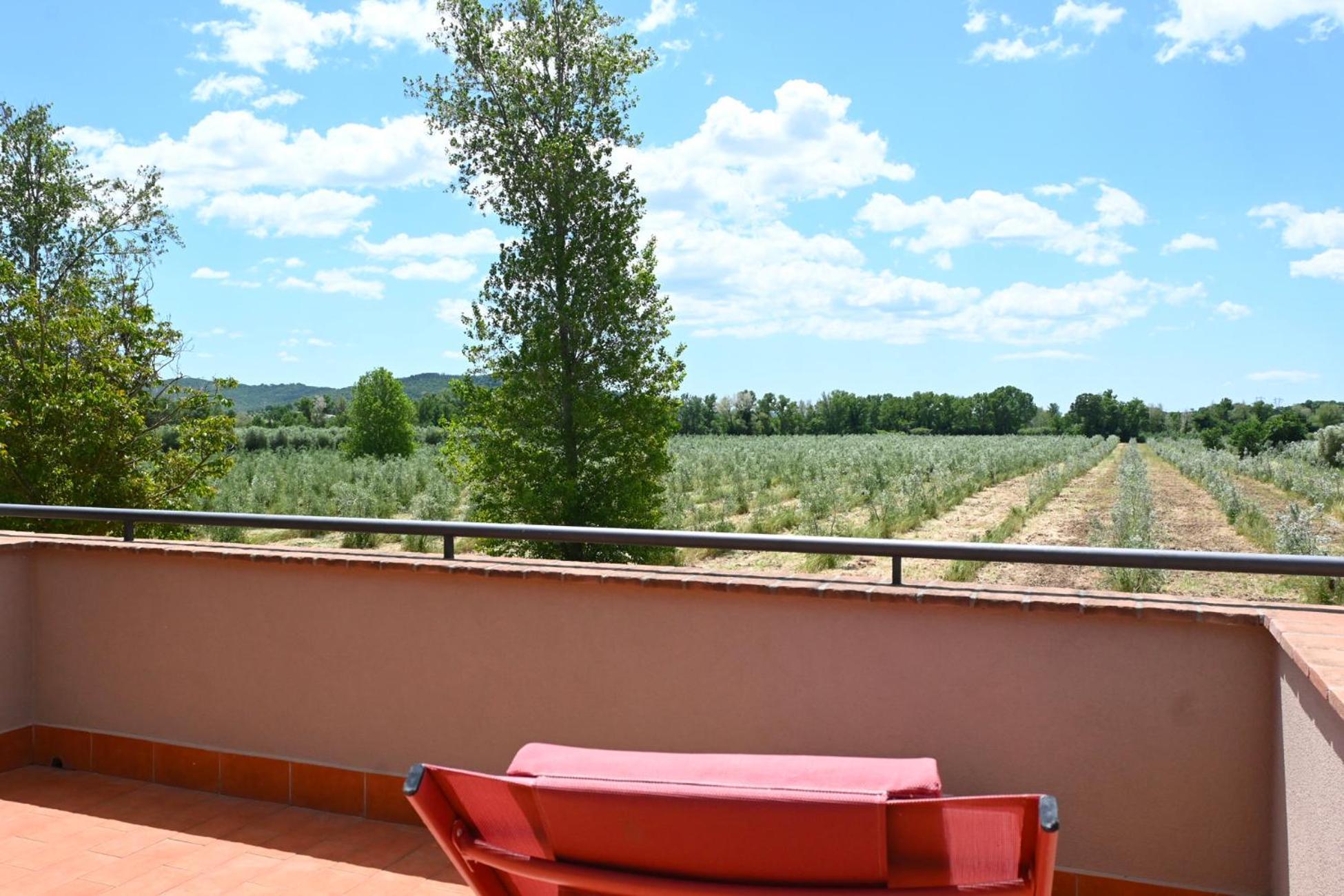 Terravita Winery & Boutique Apartments Suvereto Oda fotoğraf